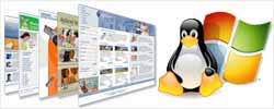 linux/windows web hosting